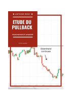 PULLBACK-2.pdf